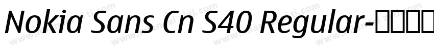 Nokia Sans Cn S40 Regular字体转换